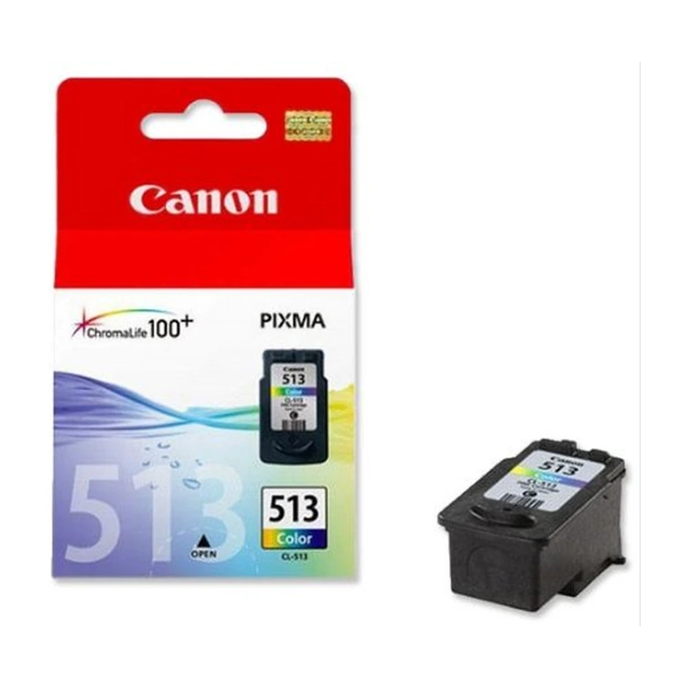 Canon CL-513 Ink Cartridge - 2971B007