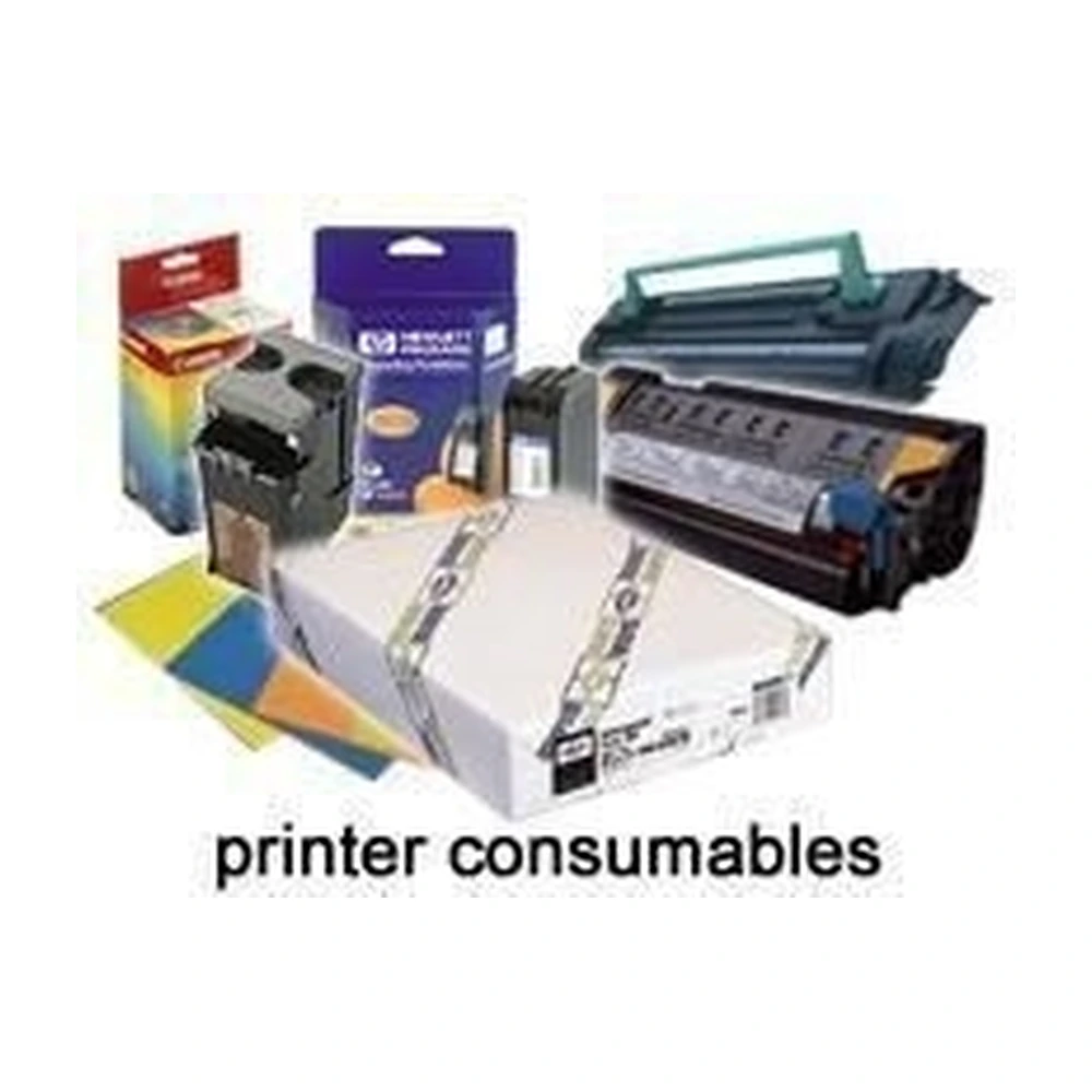 Epson Fuser Fuser Unit - C13S053012