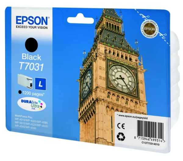 Epson T7031 Black Ink Cartridge - C13T70314010