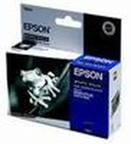 Epson T0541 Ink Cartridge - C13T054140