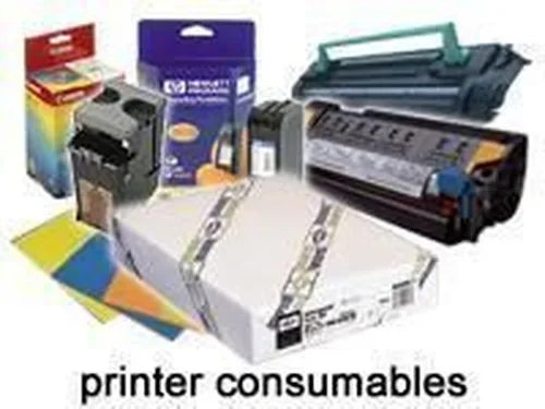 Epson T0084 Ink Cartridge Twin Pack - C13T008403