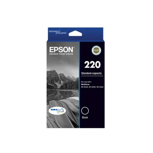 Epson T2931 Black Ink Cartridge - C13T293192