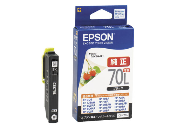 Epson ICBK70L Black Ink Cartridge