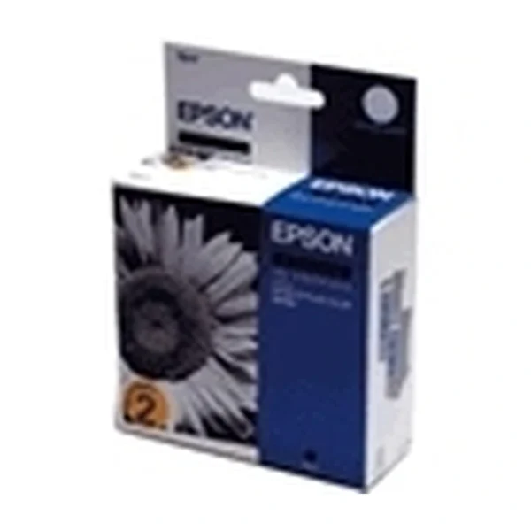 Epson T0174 Black Ink Cartridge Twin Pack - C13T01740210